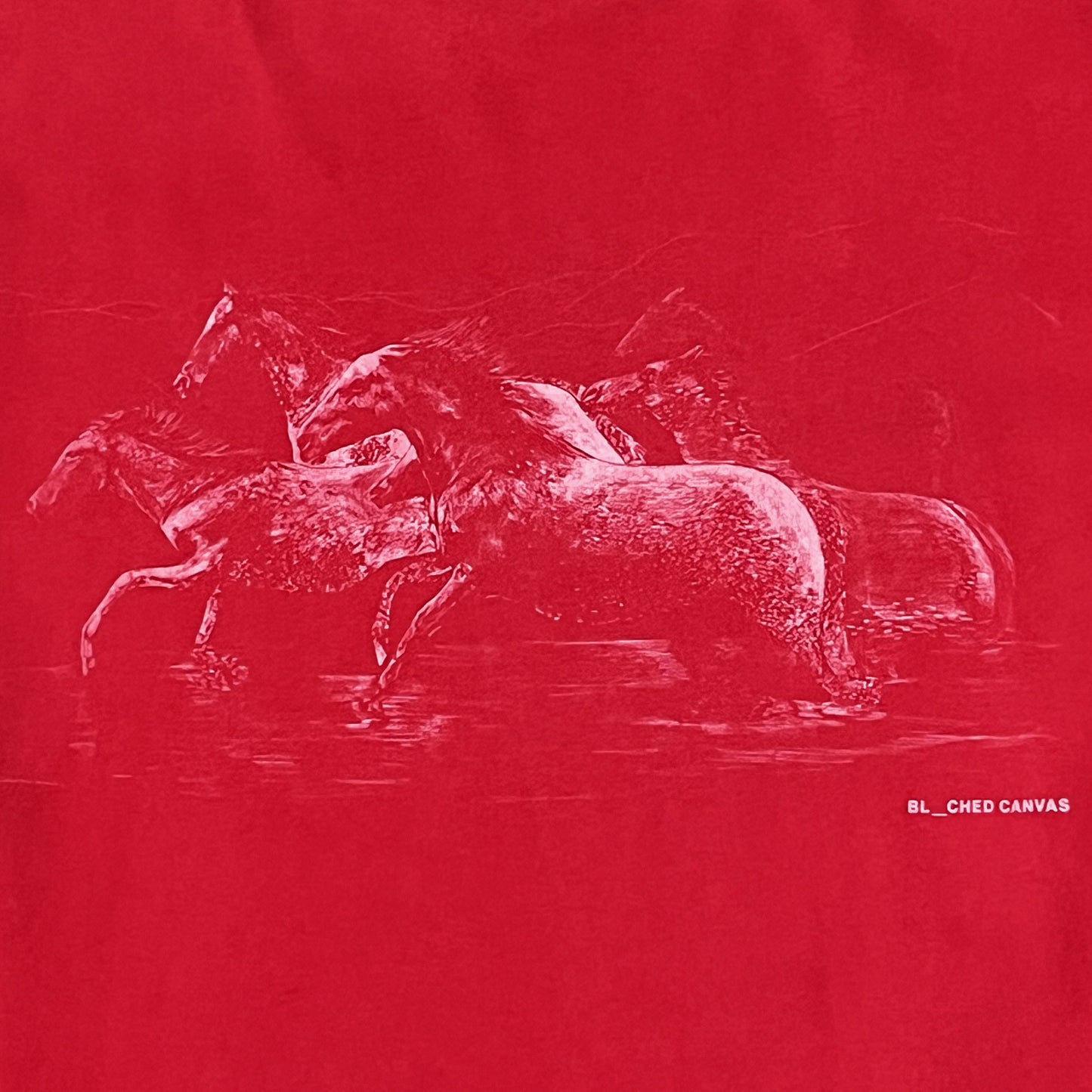 WILD HORSES TEE