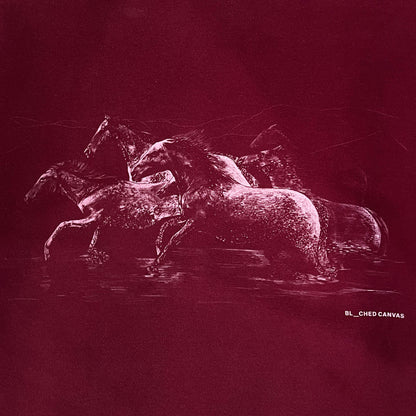 WILD HORSES SWEATSHIRT